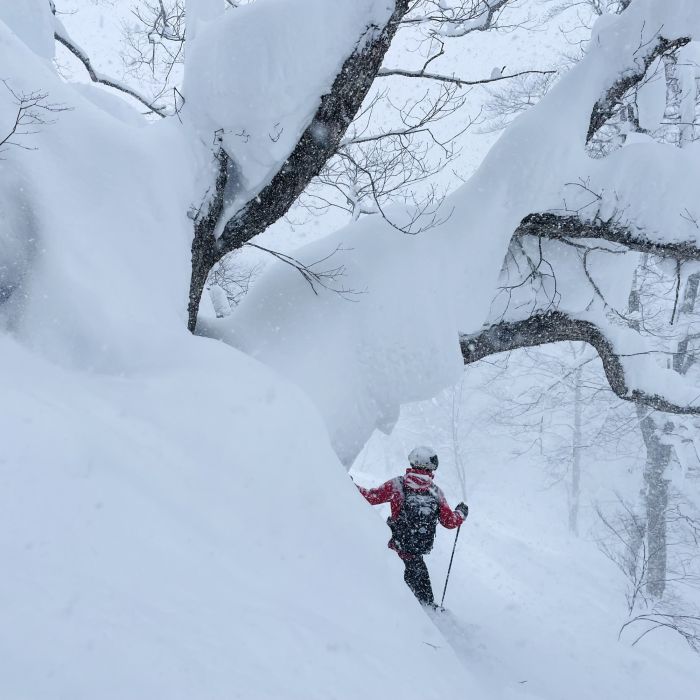 Powder Guides