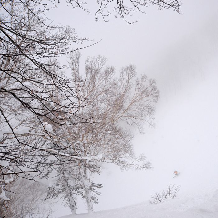 Powder Guides