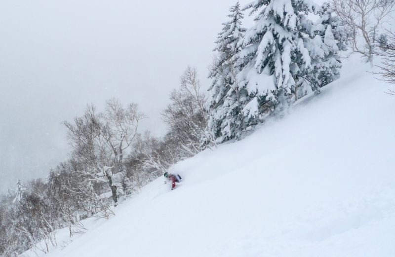 Powder Guides