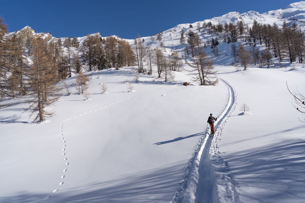 Powder Guides