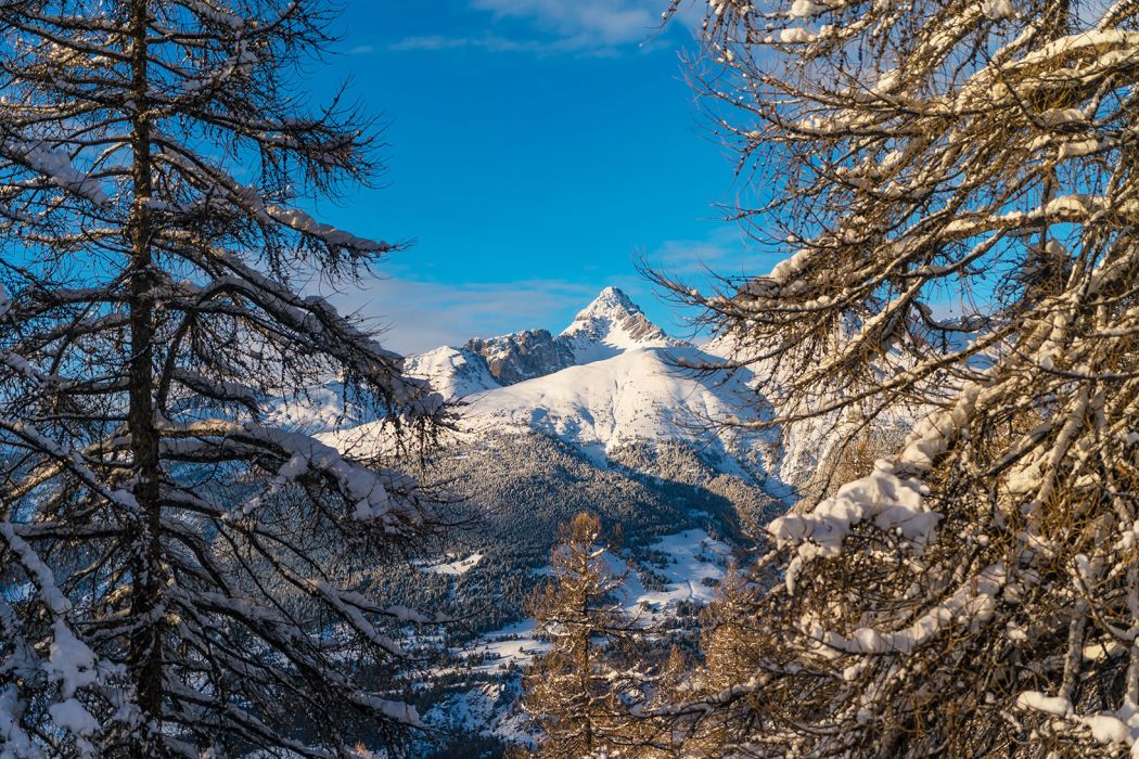 Powder Guides