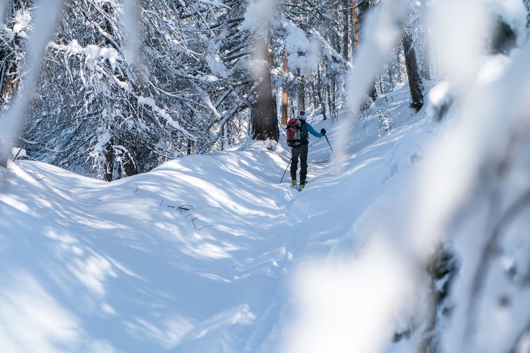 Powder Guides