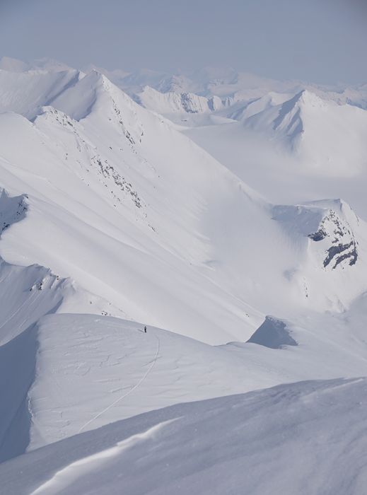 Powder Guides